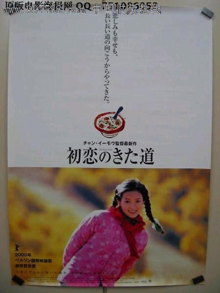学历认证里的报告编号填什么